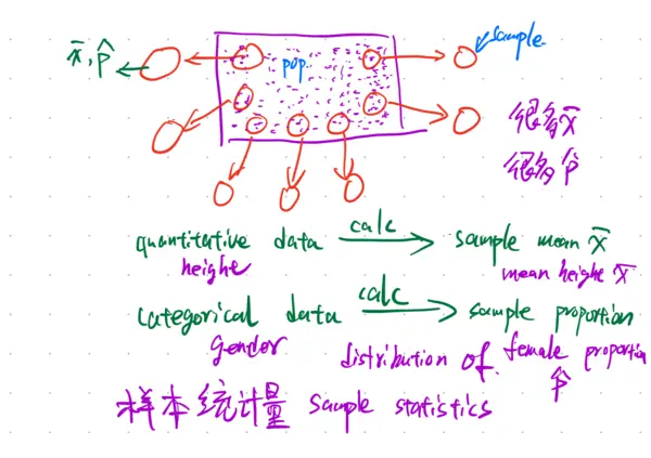Featured image of post Note Update: Sampling Distributions and Hypothesis Testing for Proportions